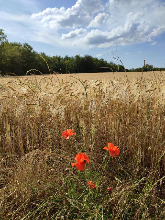 Maison De Campagne Avec Grand Parking Prive -Calme Et Serenite Chevincourt ภายนอก รูปภาพ